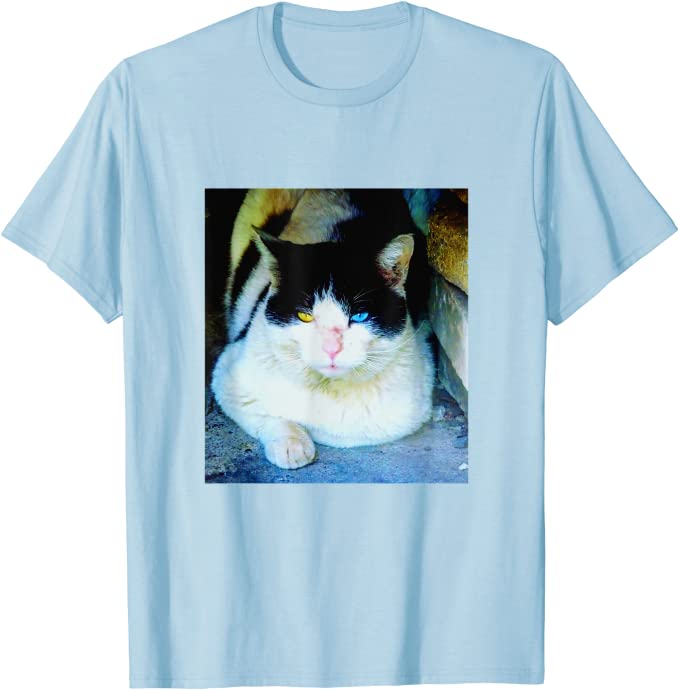 oddeyed-cat-tshirt