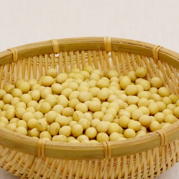 大 豆 だいず 北海道産 １ｋｇ